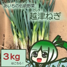 越津ねぎ 3kg