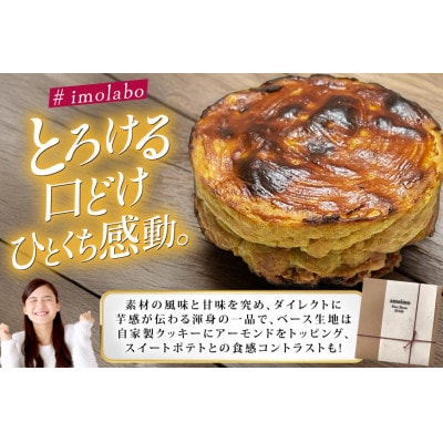 無加糖プレミアム・スイートポテト『amaimo・ピュアフレイバーPF120』