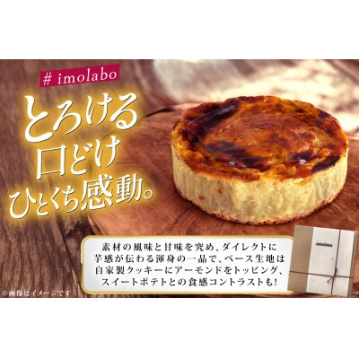 無加糖プレミアム・スイートポテト『amaimo・ピュアフレイバーPF150』