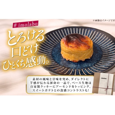 無加糖プレミアム・スイートポテト『amaimo・ピュアフレイバーPF50x8個セット』