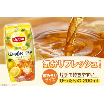 リプトン レモンティー 200ml×24本 森永乳業  紅茶飲料 プリズマパック