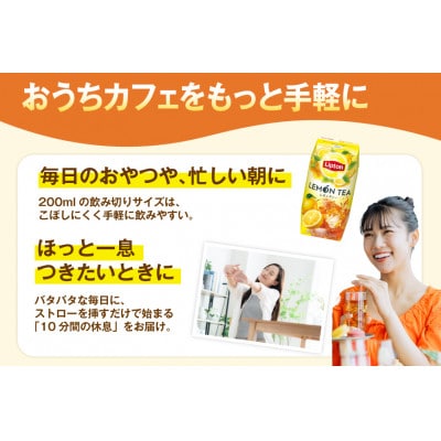 リプトン レモンティー 200ml×24本 森永乳業  紅茶飲料 プリズマパック