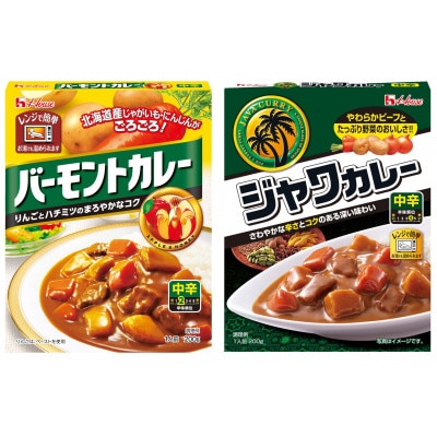 ハウス バーモントカレー 中辛 & ジャワカレー 中辛 各10個 レトルト食品