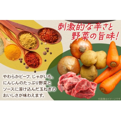 ハウス レトルトジャワカレー 辛口 ×30個 レトルト食品 レンジ調理対応