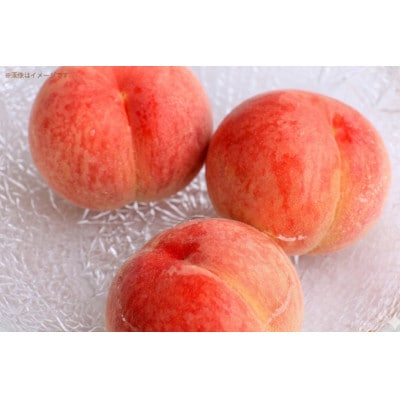 森永サプリメントウォーター 鉄分 香るもも水 330ml ×12本 森永乳業