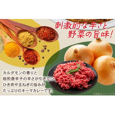 ハウス レトルトジャワカレー キーマカレー 150g ×30個 レトルトカレー レンジ調理対応