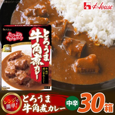ハウス とろうま牛角煮カレー 中辛 200g ×30個 レトルトカレー レンジ調理対応