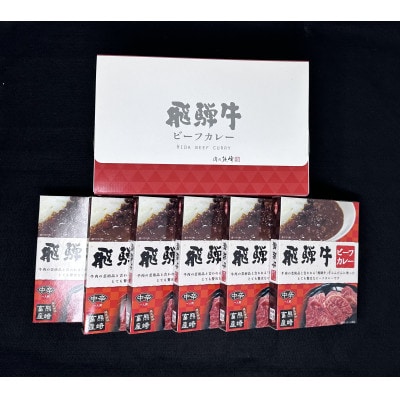 飛騨牛ビーフカレー6個