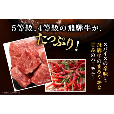 飛騨牛ビーフカレー6個