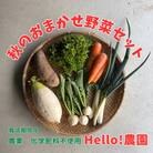 【Hello!農園直送】秋のおまかせ野菜セット(5～7品)　栽培期間中農薬・化学肥料不使用