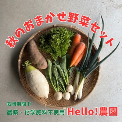【Hello!農園直送】秋のおまかせ野菜セット(5～7品)　栽培期間中農薬・化学肥料不使用