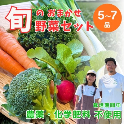 【Hello!農園直送】旬のおまかせ野菜セット(5～7品)　栽培期間中農薬・化学肥料不使用