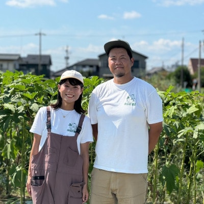 【Hello!農園直送】秋のおまかせ野菜セット(5～7品)　栽培期間中農薬・化学肥料不使用