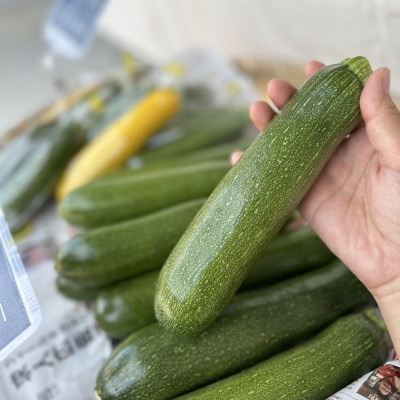 【Hello!農園直送】秋のおまかせ野菜セット(5～7品)　栽培期間中農薬・化学肥料不使用