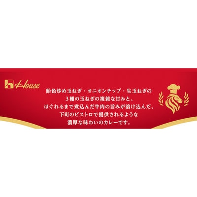 【最短当日発送】下町BISTRO CURRY 170g 中辛 10個
