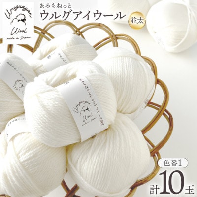 あみもねっと ウルグアイウール並太 1番色 10玉セット