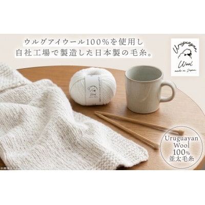 あみもねっと ウルグアイウール並太 1番色 10玉セット
