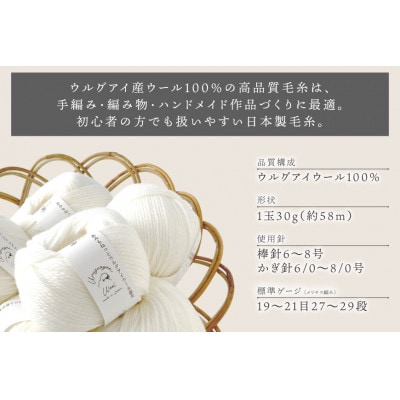 あみもねっと ウルグアイウール並太 1番色 10玉セット