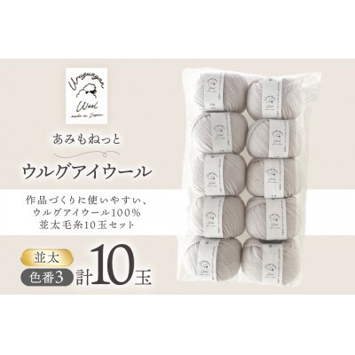 あみもねっと ウルグアイウール並太 3番色 10玉セット