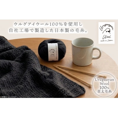 あみもねっと ウルグアイウール並太 31番色 10玉セット