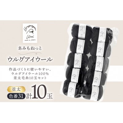 あみもねっと ウルグアイウール並太 31番色 10玉セット