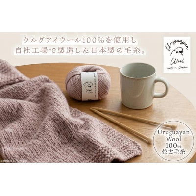 あみもねっと ウルグアイウール並太 4番色 10玉セット