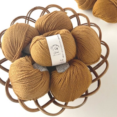 あみもねっと ウルグアイウール並太 9番色 10玉セット