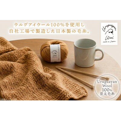 あみもねっと ウルグアイウール並太 9番色 10玉セット