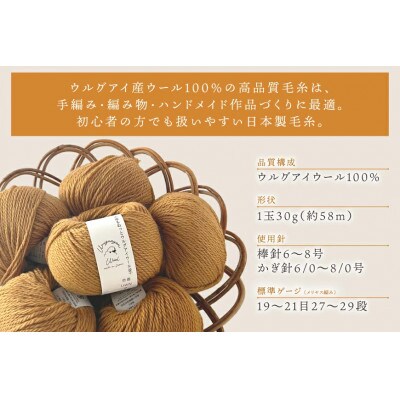 あみもねっと ウルグアイウール並太 9番色 10玉セット