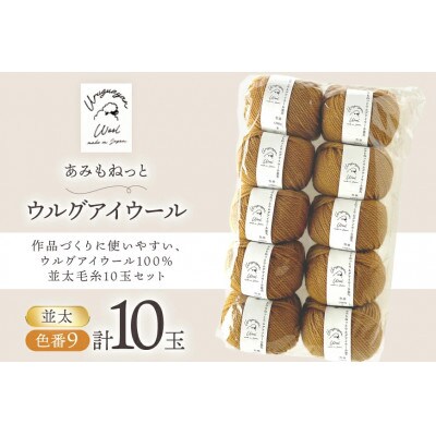 あみもねっと ウルグアイウール並太 9番色 10玉セット