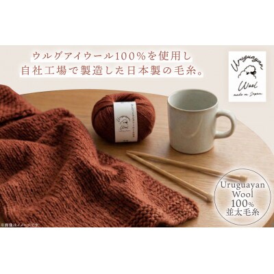あみもねっと ウルグアイウール並太 10番色 10玉セット