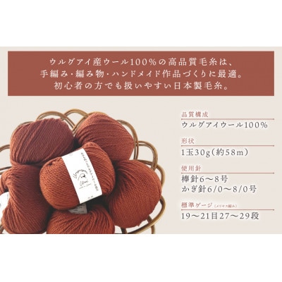あみもねっと ウルグアイウール並太 10番色 10玉セット