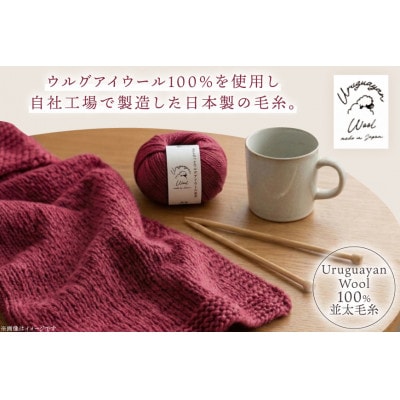 あみもねっと ウルグアイウール並太 11番色 10玉セット