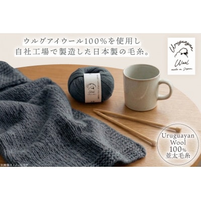 あみもねっと ウルグアイウール並太 17番色 10玉セット