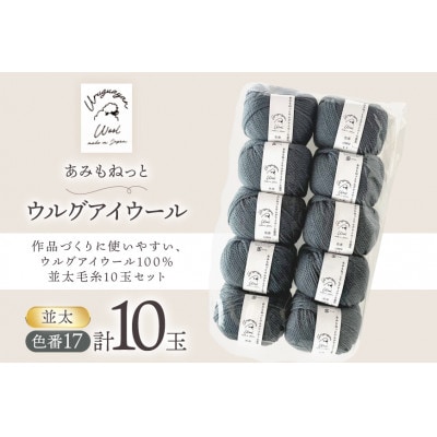 あみもねっと ウルグアイウール並太 17番色 10玉セット