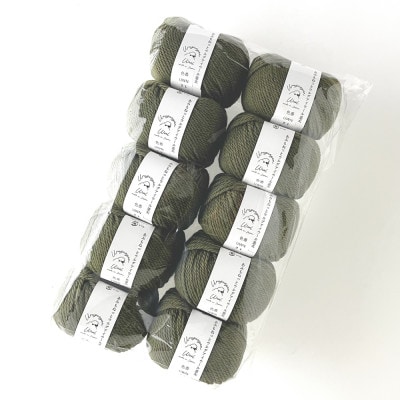 あみもねっと ウルグアイウール並太 21番色 10玉セット