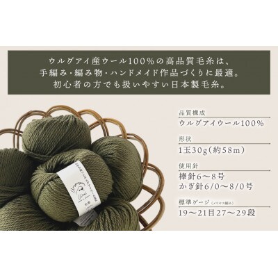 あみもねっと ウルグアイウール並太 21番色 10玉セット