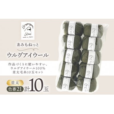 あみもねっと ウルグアイウール並太 21番色 10玉セット