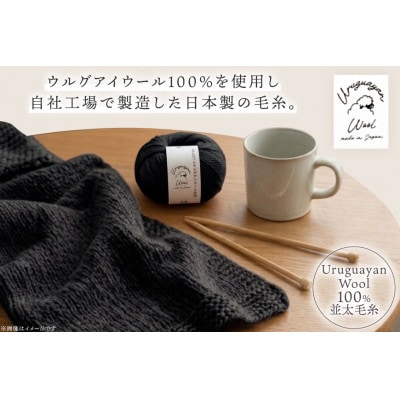あみもねっと ウルグアイウール並太 30番色 10玉セット