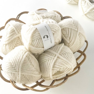 あみもねっと アルパカ天然色 1番色 10玉セット