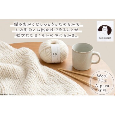 あみもねっと アルパカ天然色 1番色 10玉セット