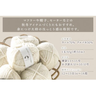 あみもねっと アルパカ天然色 2番色 10玉セット