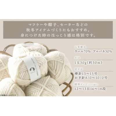 あみもねっと アルパカ天然色 3番色 10玉セット