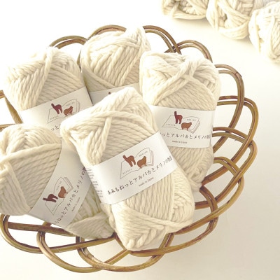 あみもねっと アルパカとメリノの物語 1番色 10玉セット