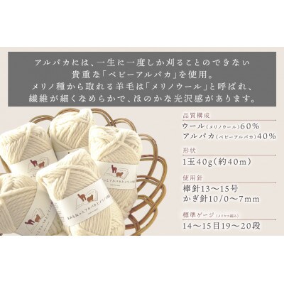 あみもねっと アルパカとメリノの物語 1番色 10玉セット