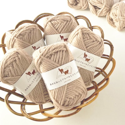 あみもねっと アルパカとメリノの物語 2番色 10玉セット