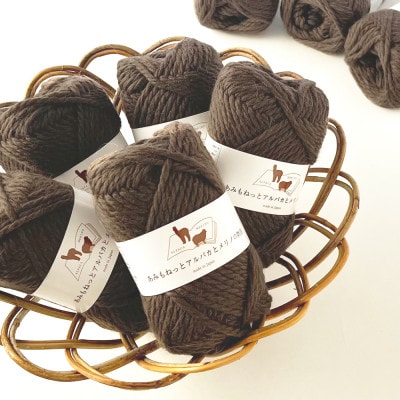 あみもねっと アルパカとメリノの物語 3番色 10玉セット