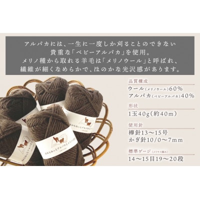 あみもねっと アルパカとメリノの物語 3番色 10玉セット