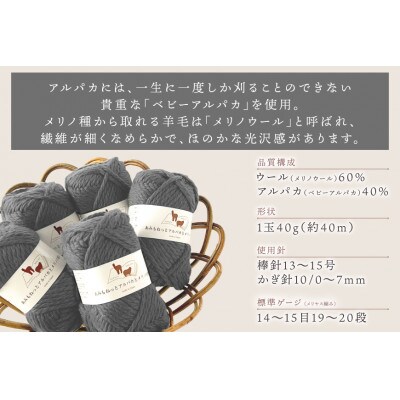 あみもねっと アルパカとメリノの物語 5番色 10玉セット