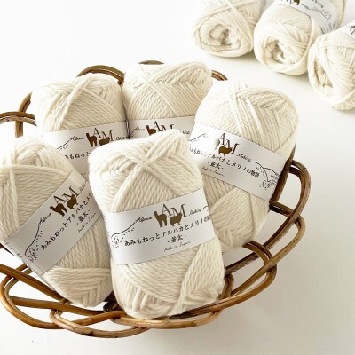 あみもねっと アルパカとメリノの物語並太 1番色 10玉セット